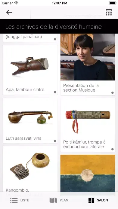 ภาพหน้าจอของ Archives de la diversité