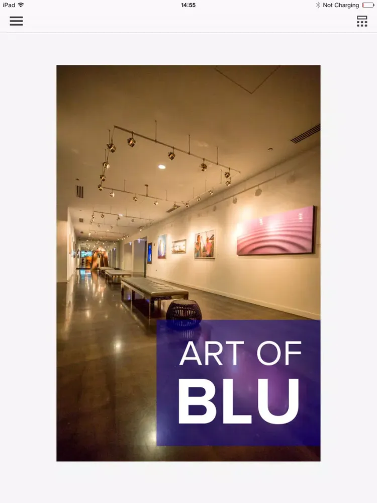Screenshot di Radisson Blu Aqua Hotel Art Tour iPad 