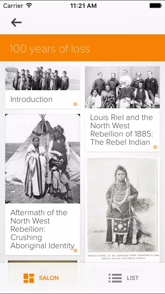 Screenshot di 100 Years of Loss