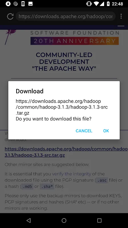 Capturas de tela do Download Manager