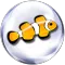 Marine Aquarium 3.3 PRO