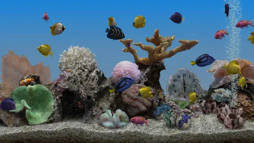 Marine Aquarium 3.3 PRO Screenshots