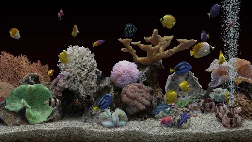 Marine Aquarium 3.3 PRO Screenshots