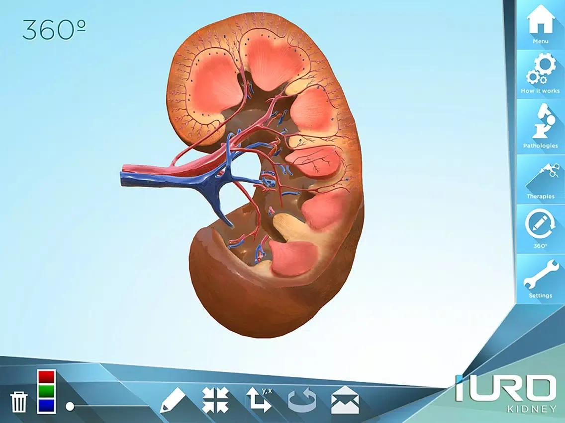 Capturas de tela do iURO Kidney PRO iPad 