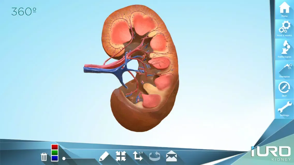 Capturas de tela do iURO Kidney PRO