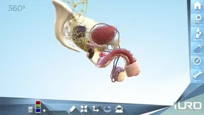 Captures d'écran de iURO Andrology PRO