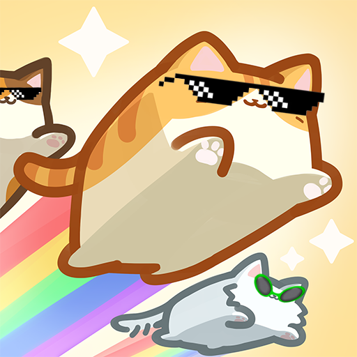 Box Cat Jam Box Cat Jam