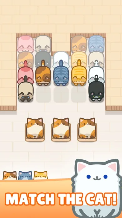 Ảnh chụp màn hình của Box Cat Jam