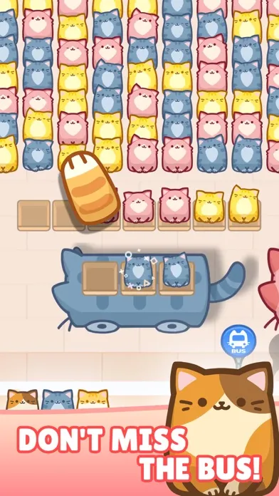 Ảnh chụp màn hình của Box Cat Jam