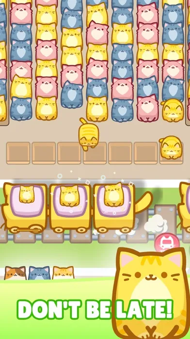 Ảnh chụp màn hình của Box Cat Jam