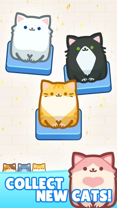Ảnh chụp màn hình của Box Cat Jam