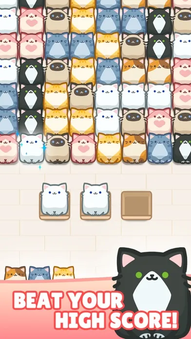 Ảnh chụp màn hình của Box Cat Jam
