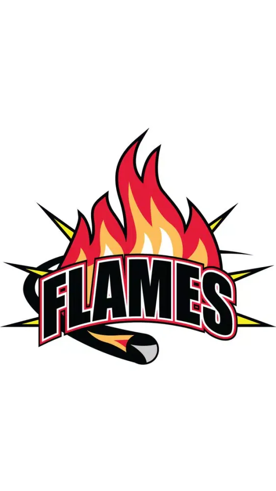 Capturas de tela do Flames Kebab House