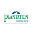 Plantation Recognition Plantation Recognition