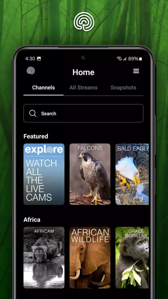 explore.org Screenshots