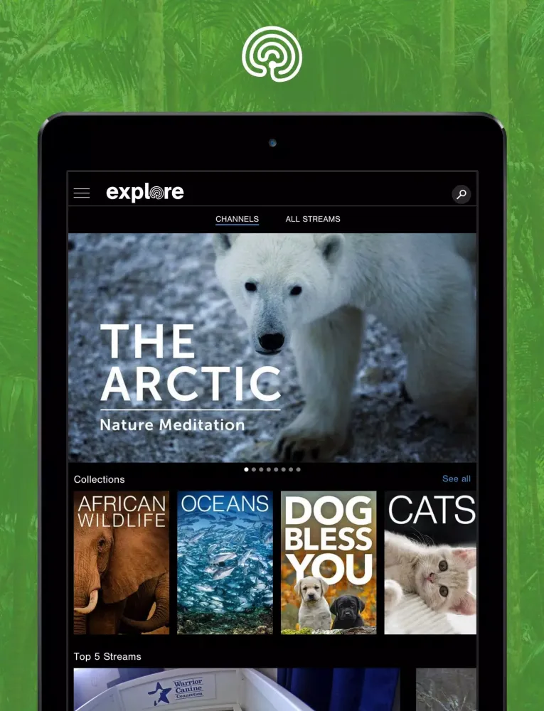 explore.org Screenshots