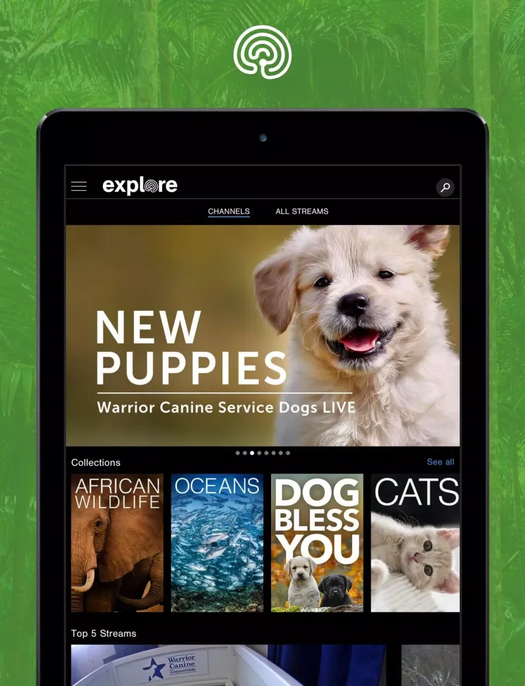 explore.org Screenshots