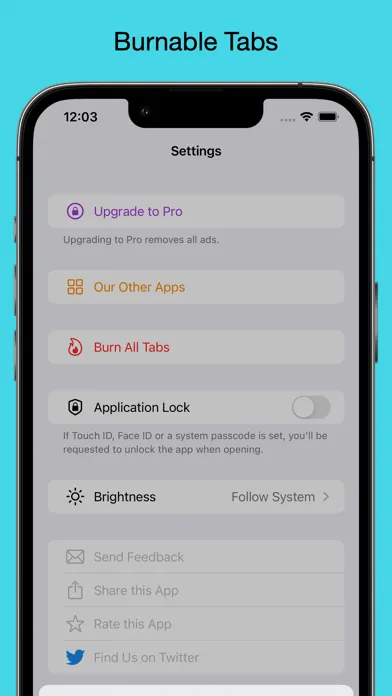 Private Browser • Brovacy應用截圖