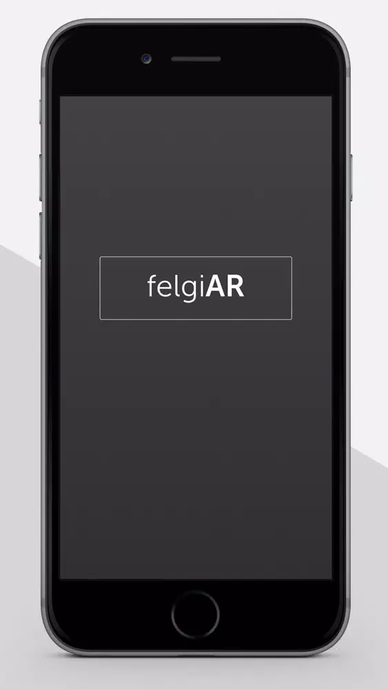 Screenshot di Felgi
