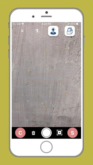 DailyDesignist应用截图