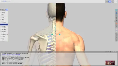تصاویر The Combinations For Acupoint