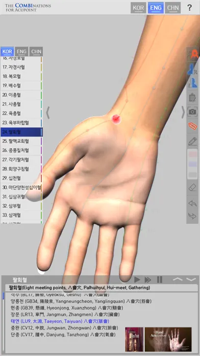 تصاویر The Combinations For Acupoint