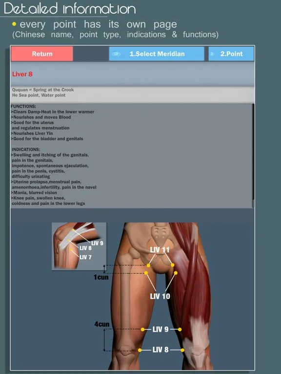 Easy Acupuncture 3D -FULL iPad 应用截图