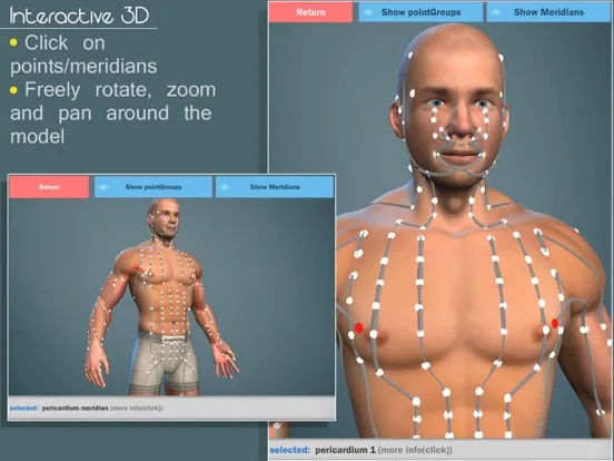 Easy Acupuncture 3D -FULL iPad 应用截图