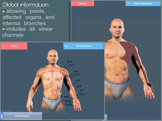 Easy Acupuncture 3D -FULL iPad 应用截图
