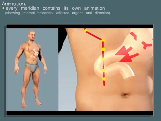 Easy Acupuncture 3D -FULL iPad 应用截图