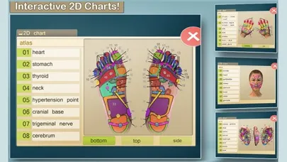Total Reflexology-3D Screenshots