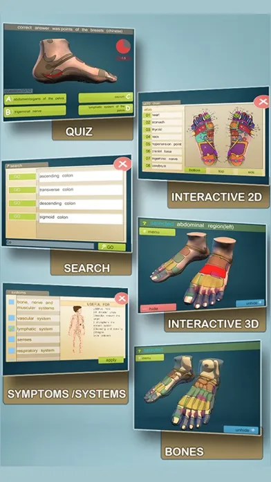 Total Reflexology-3D Screenshots