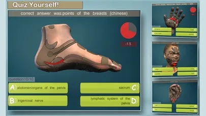 Total Reflexology-3D Screenshots