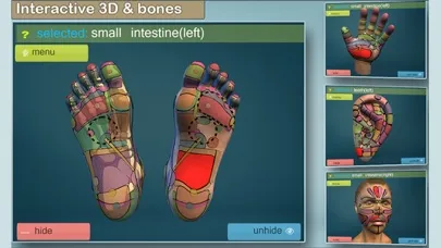 Total Reflexology-3D Screenshots