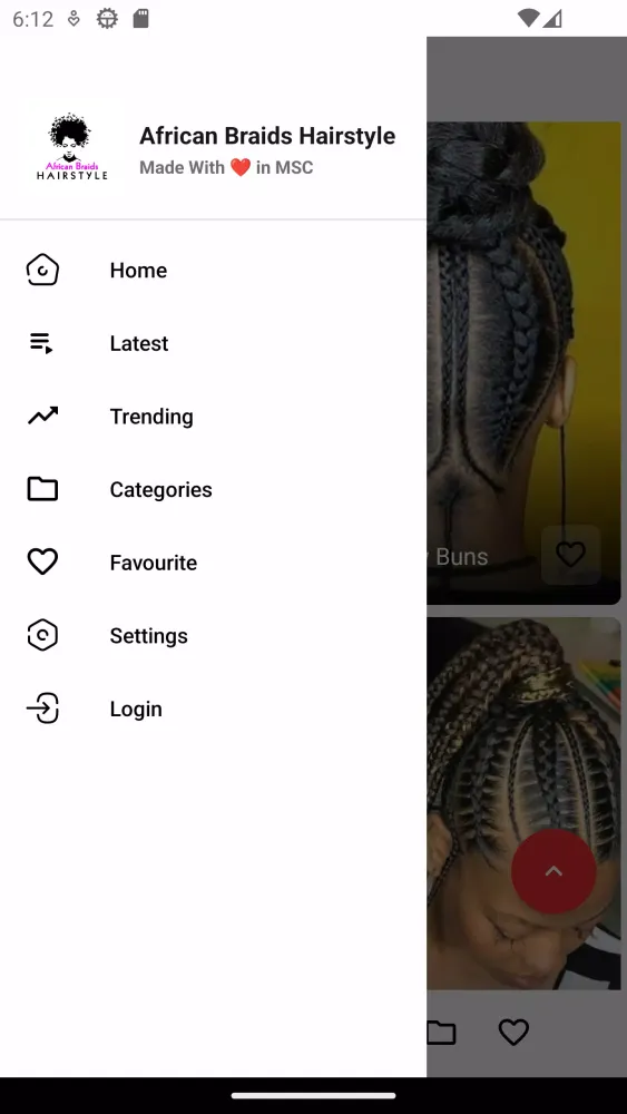 African Braids Hairstyle应用截图
