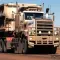 Truck Cops