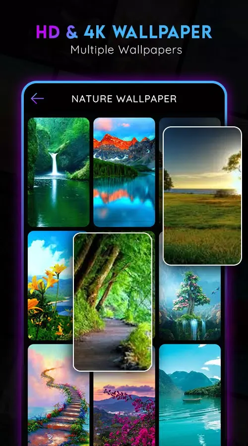 Photo Wallpaper 2024 Screenshots
