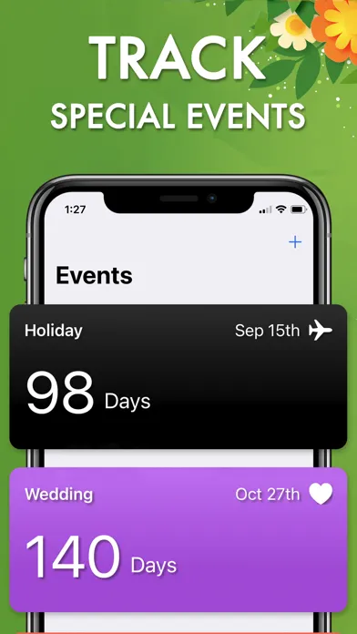 Countdown Calendar Widgets应用截图