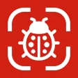 Insect Identifier: AI Scanner