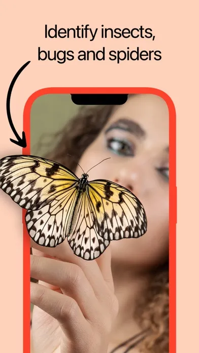 صور Insect Identifier: AI Scanner