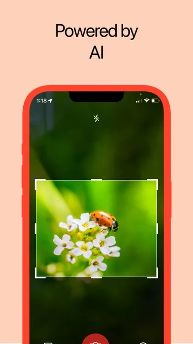 صور Insect Identifier: AI Scanner