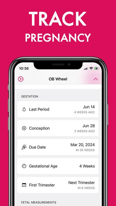 OB Wheel for Pregnancy Ekran Görüntüleri