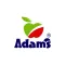 Adams Jewellers