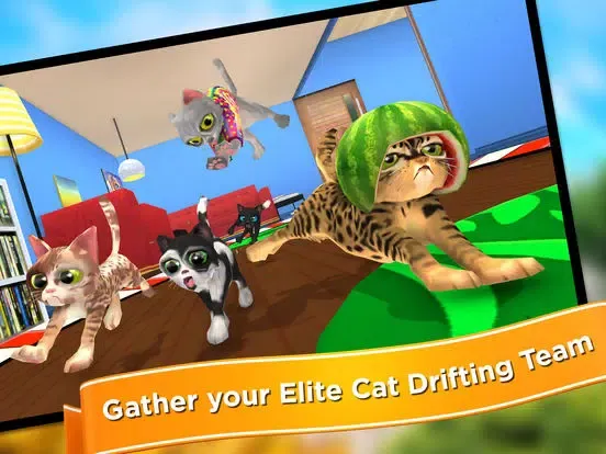 Team Drift Cats iPad  スクリーンショット