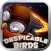 Despicable Birds - Bird Defense Game