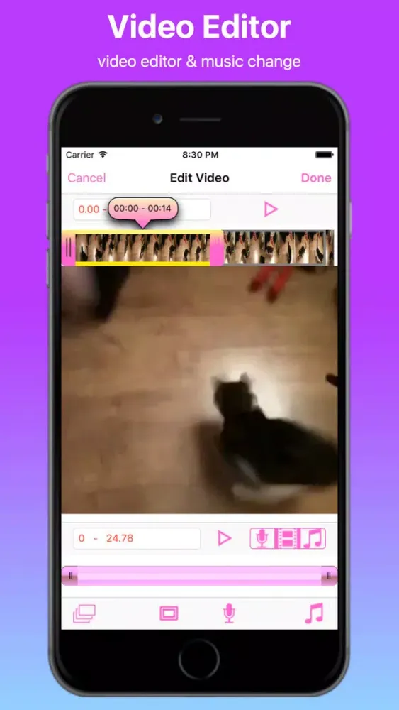 Master iVideo Editor Professional Screenshots