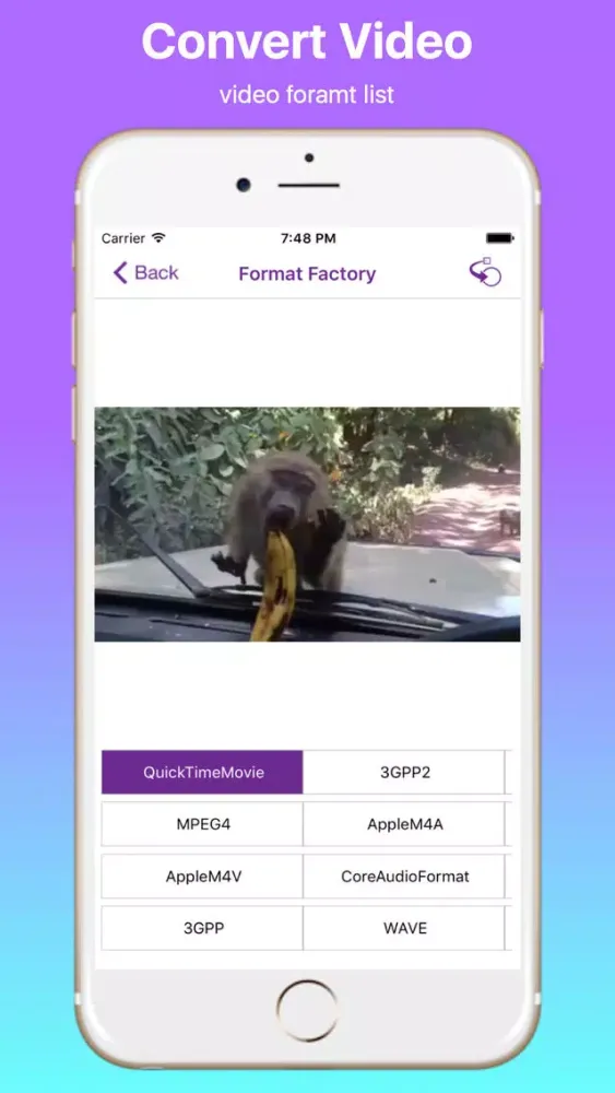 Ảnh chụp màn hình của iVideo Format Factory
