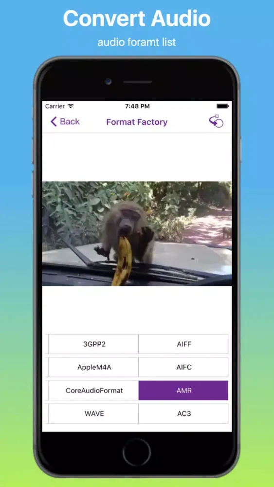 Ảnh chụp màn hình của iVideo Format Factory