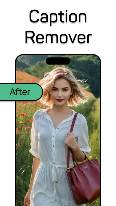 Snapchat Caption Cleaner Screenshots