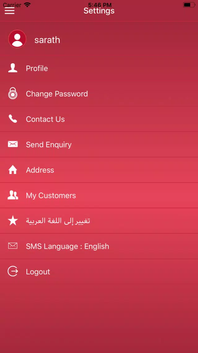 Screenshot di Access Express